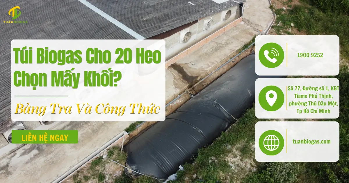 Túi Biogas Cho 5, 10, 20, 30, 50 Heo: Chọn Mấy Khối? Bảng Tra Và Công Thức Tính